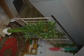 Отель Col Moschin 3*